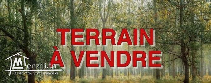 Terrain a bas prix à Borj Touil Ariana