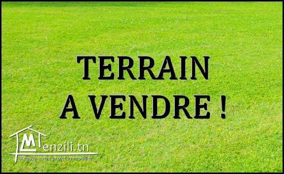 Large Terrain à vendre à Borj Touil