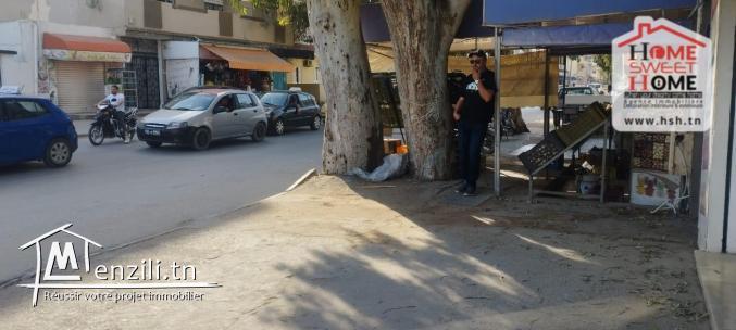 Fond Persia à Vendre à Bizerte