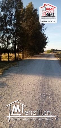 Terrain Hunday A Vendre A Borj Touil