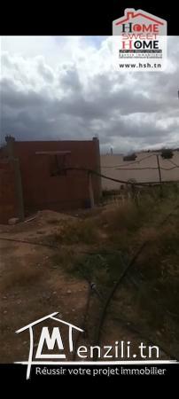 Terrain Agricole Wallis à Vendre à Sidi Aich