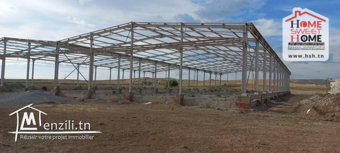 Terrain Industriel Léora à Vendre à Zagouan