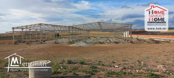 Terrain Industriel Léora à Vendre à Zagouan