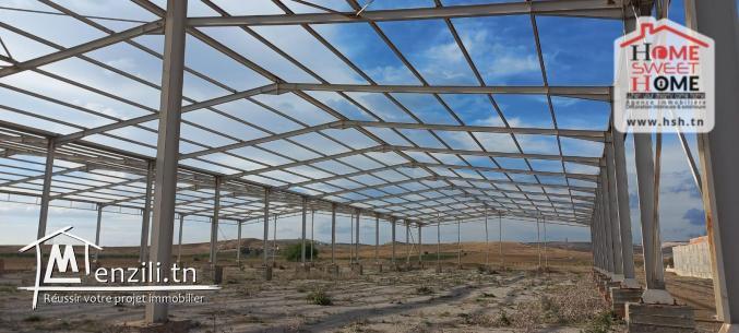 Terrain Industriel Léora à Vendre à Zagouan