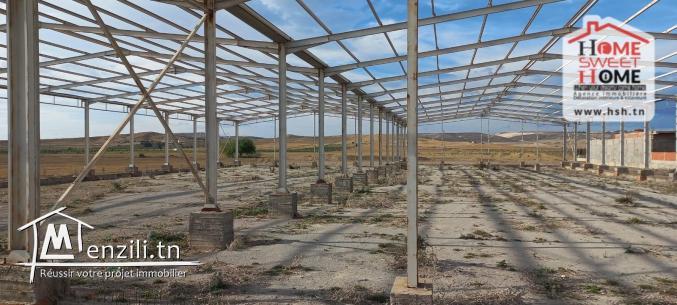 Terrain Industriel Léora à Vendre à Zagouan