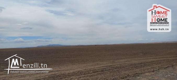 Terrain Agricole Elga à Vendre d'EL Fahs