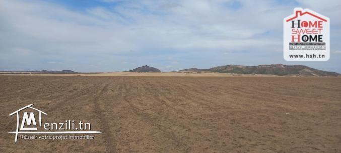Terrain Agricole Elga à Vendre d'EL Fahs