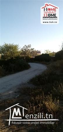 Terrain Agricole Kia A Vendre A Borj Touil