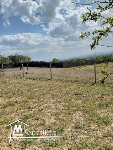 magnifique terrain a beni wael