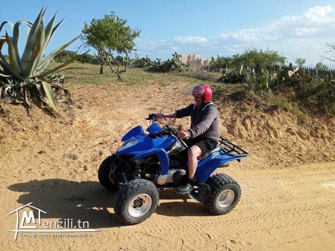 magnifique terrain a beni wael