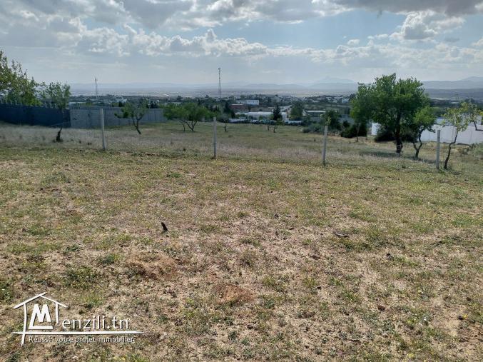 magnifique terrain a beni wael