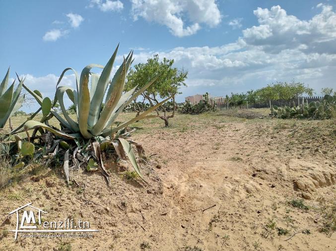 magnifique terrain a beni wael