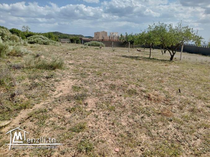 magnifique terrain a beni wael
