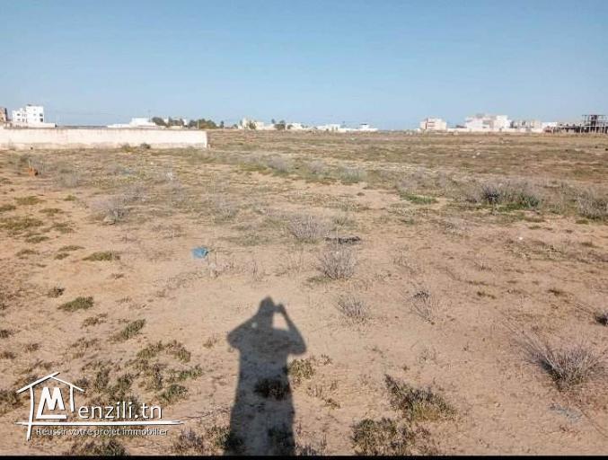 terrain de 300 m2 a raoued