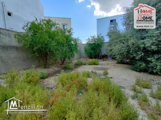 Terrain INVEST Calisto à Vendre à Boumhal EL Bassetine