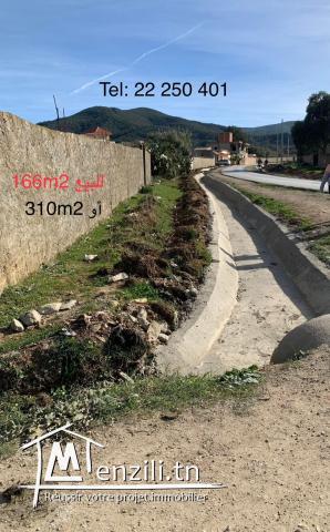 Terrain pour usage commercial et habitat