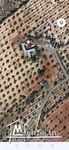 Mnihla des lots de terrain à 200 dinars m2