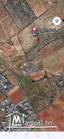 Mnihla des lots de terrain à 200 dinars m2