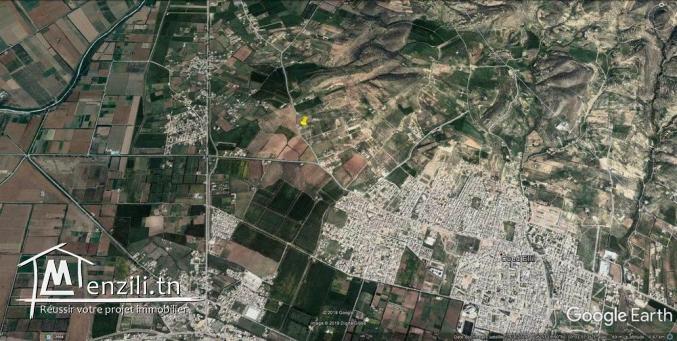 Terrains à vendre à Sidi Thabet