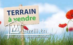 Un beau terrain de 1038m²