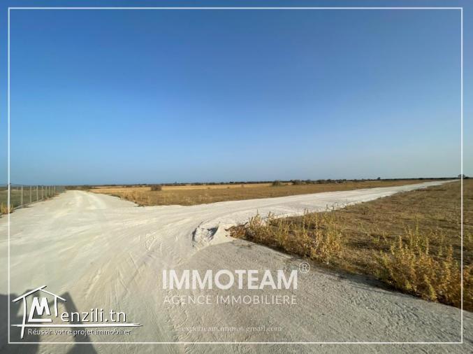 Un terrain situé à 3Km de yasmine Hammamet