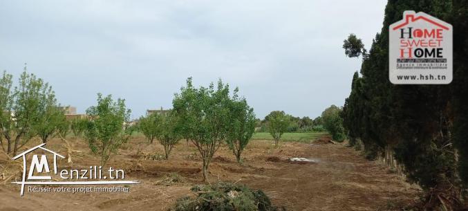 Ferme Al Safwa à Vendre à Ghar EL Mellah