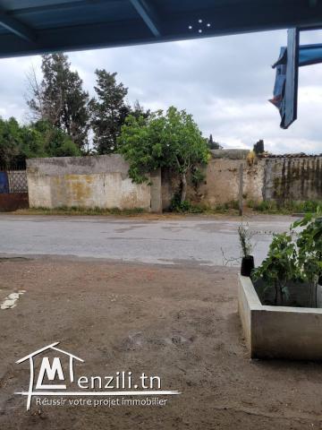Beau terrain à 5km de la plage sidi raïs