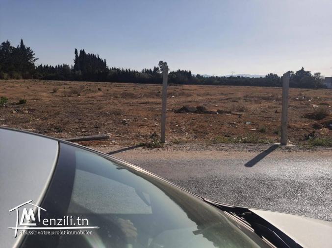 Beau terrain à 5km de la plage sidi raïs