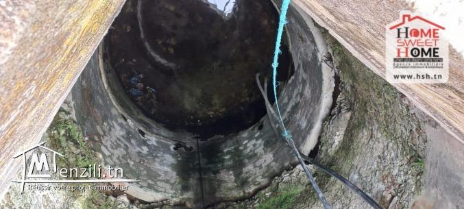 Ferme Al Safwa à Vendre à Ghar EL Mellah