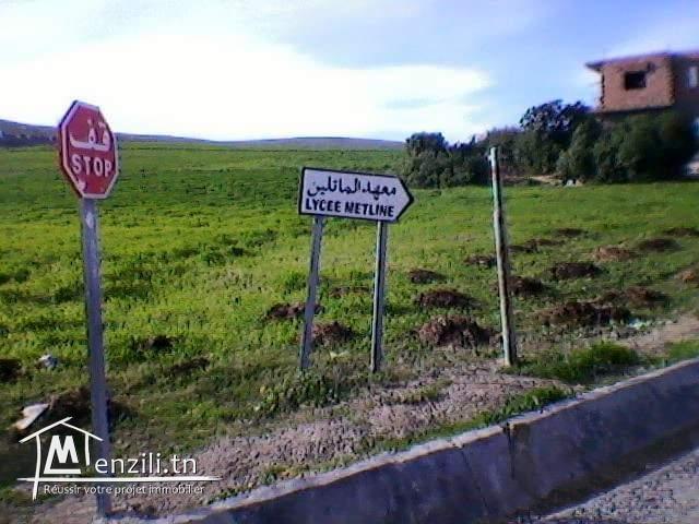 Terrain à vendre de 60 m2 à Bizeret Sud