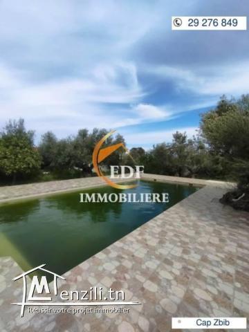 Réf 5486 Luxueuse villa avec piscine à cap Zbib Bizerte