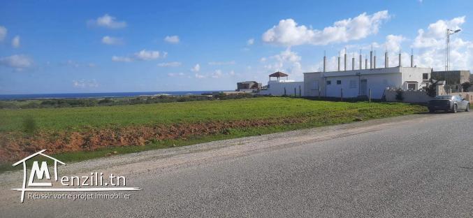 Dar Allouch klibia 300m2