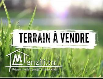 Terrain de 621m²  à vendre à Rue de Parc La Soukra