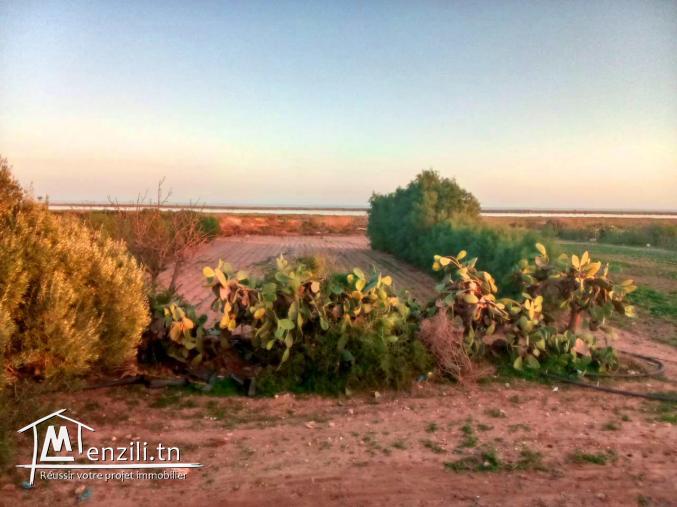 À vendre un terrain sur la route principale de tazarka korba