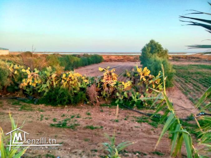 À vendre un terrain sur la route principale de tazarka korba