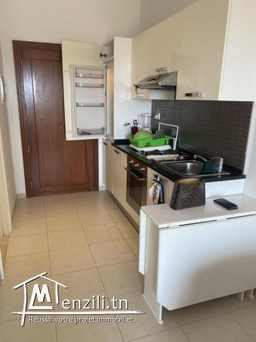 a louer a l’année un studio (s+0)