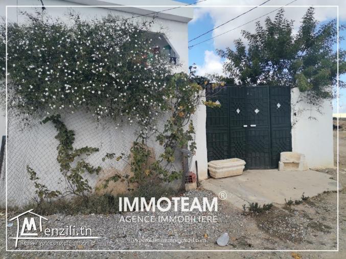 Un beau terrain de 4000 m2 a vendre  à sidi Hammed Hammamet