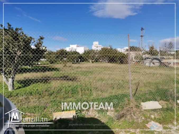 Un terrain a vendre situé à bir bouragba Hammamet