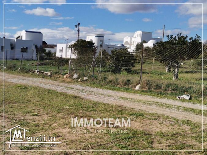 Un terrain a vendre situé à bir bouragba Hammamet