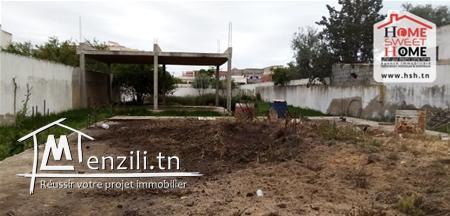 Terrain  narcis A Vendre A Borj Touil