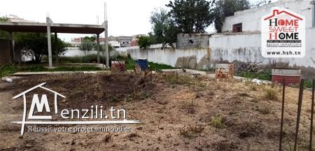 Terrain narcis A Vendre A Borj Touil