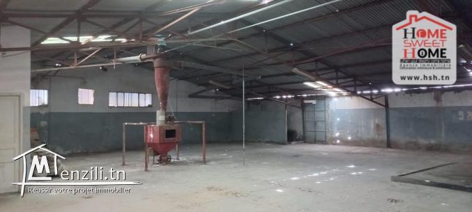 Usine Andrian à Vendre à Ben Arous