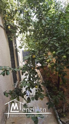 Villa style américain