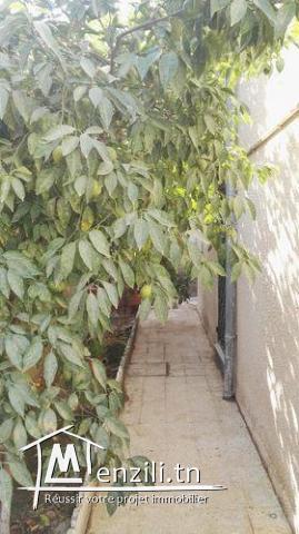 Villa style américain