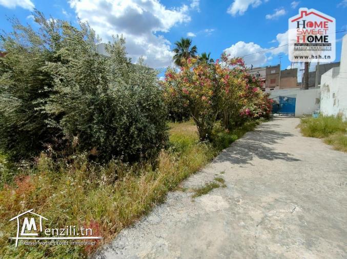 Terrain Villa Sevilla à Vendre à Hammam Linf