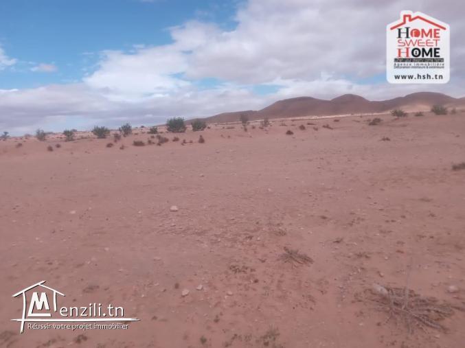 Terrain Agricole Nadhour à Vendre à Kasserine