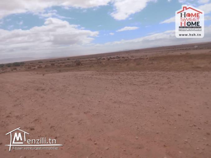 Terrain Agricole Nadhour à Vendre à Kasserine