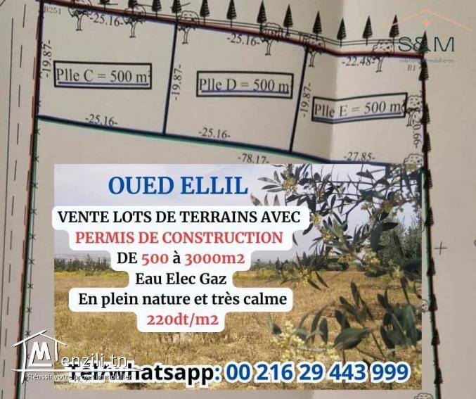 Vente lots terrains à Oued Ellil Essaida 500DT M2