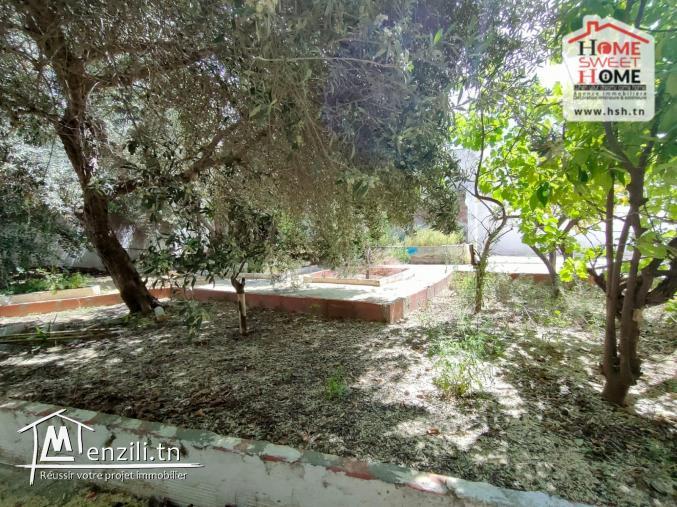 Villa Renata à Vendre à Hammam Linf