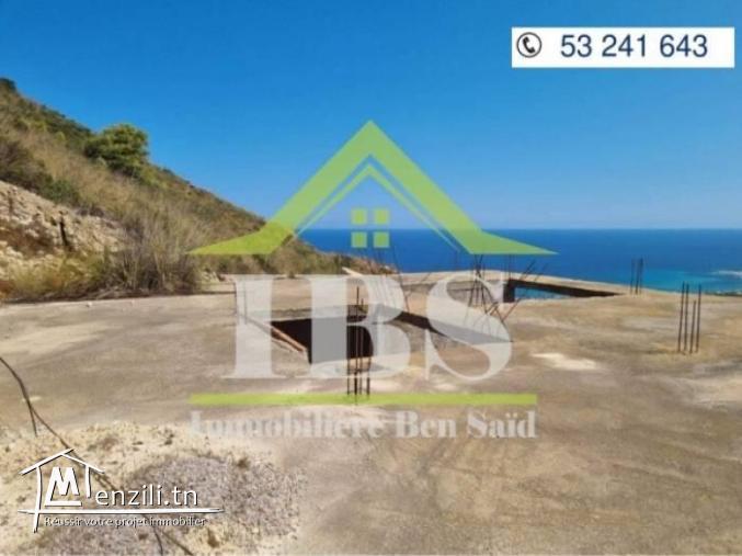 Terrain agricole à vendre dans la région sud de Bizerte